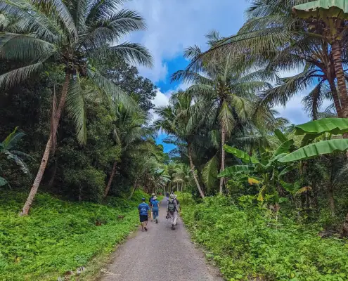 The walk to Dodinga.