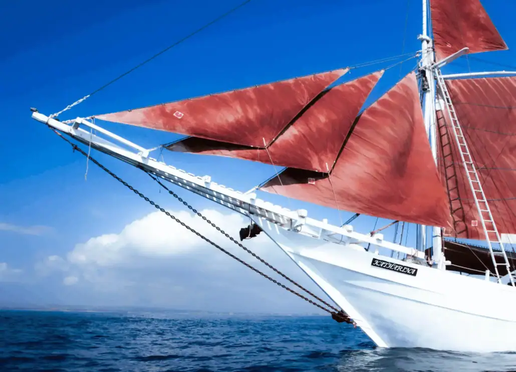 Katharina bow