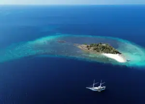 SeaTrek Katharina drone shot