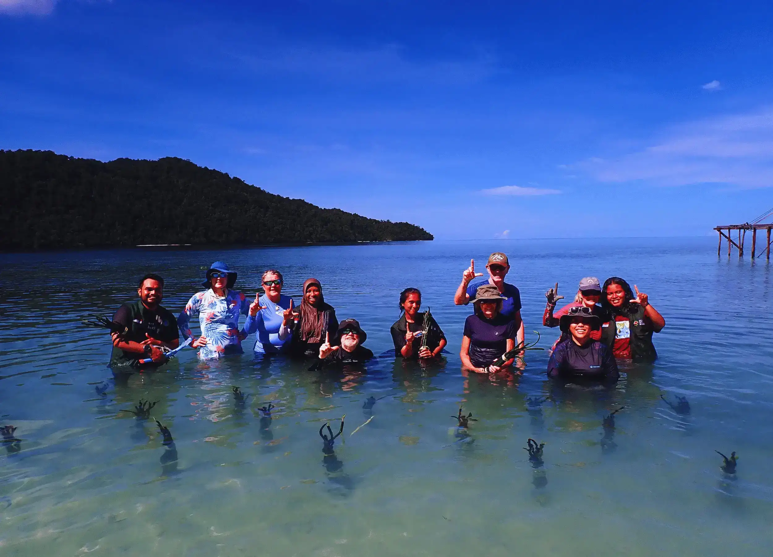 Planting mangrove with Constantinus, a local hero in Raja Ampat. 