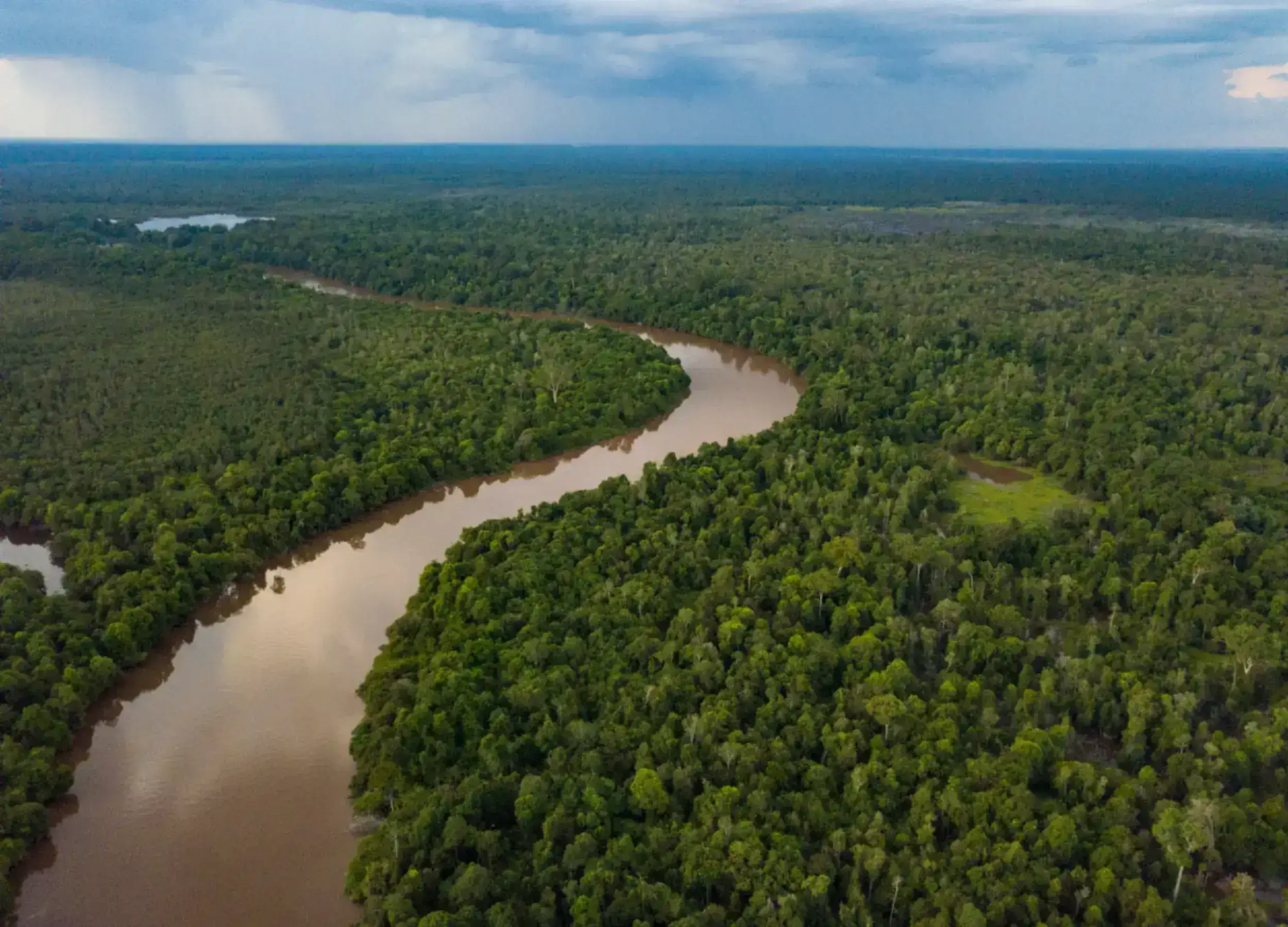 Kahayan River in the green hush forest of Kalimantan. 