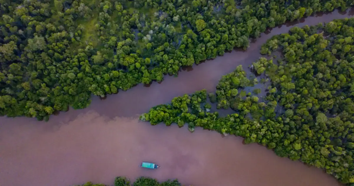 Kahayan River of Borneo