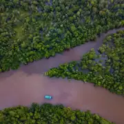 Kahayan River of Borneo