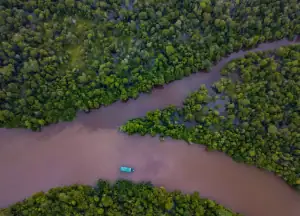 Kahayan River of Borneo