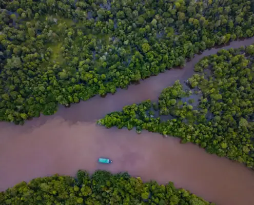 Kahayan River of Borneo