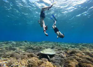 SeaTrek Family Snorkeling with Turtles in Komodo
