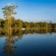 Sunrise river cruise in Borneo