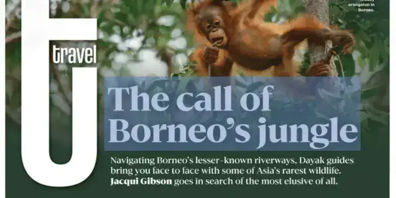 SeaTrek in the press - The Post - Jacqui Gibson
