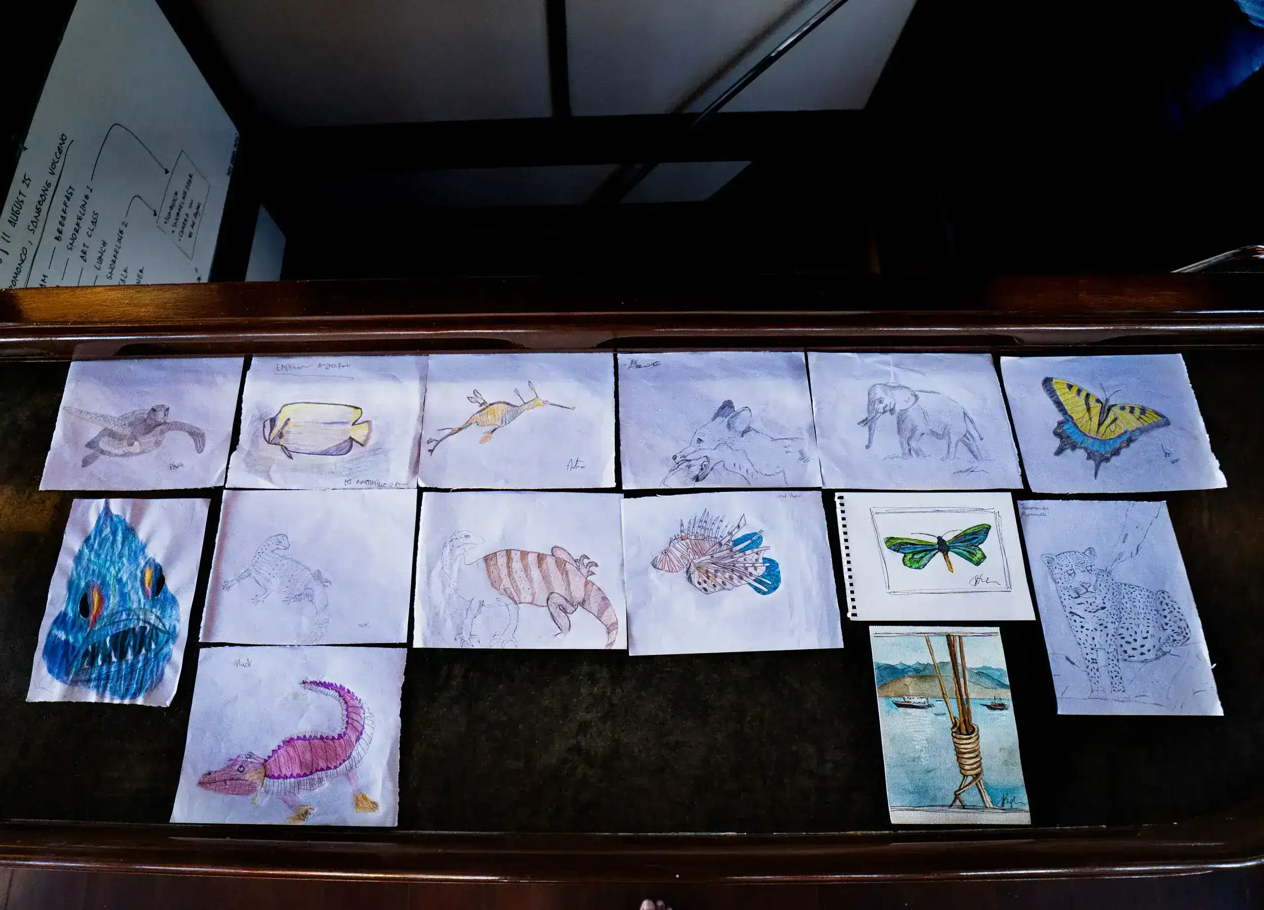 Artworks by SeaTrek guests after the drawing class.