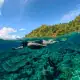 best snorkeling spots Indonesia