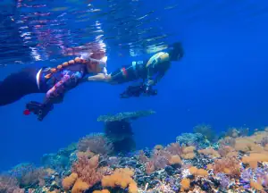 Snorkeling with friend