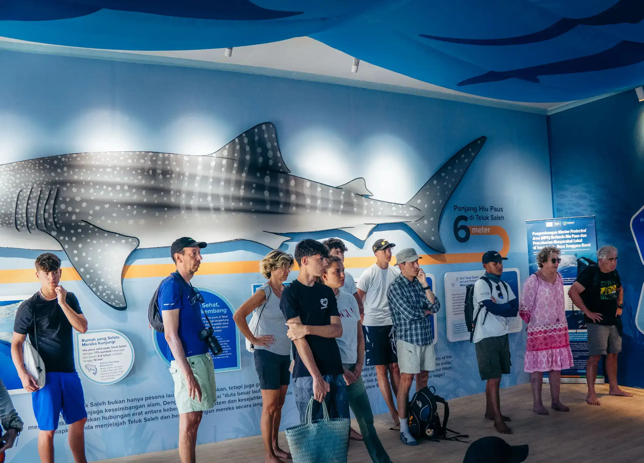 Whale sharks learning center