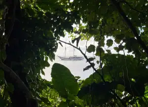 Ombak Putih shots view from the forest island