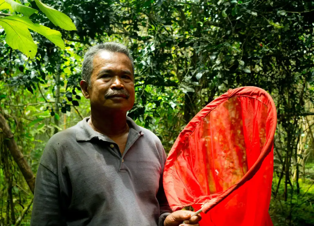 Alisi Yende, a local hero of the Wallace Golden Birdwing Butterfly from Bacan