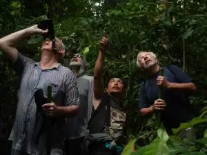 Birdwatching BOP