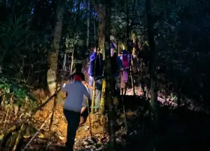 Early morning trekking in Raja Ampat to see the Birds of Paradise.