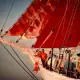 Family Sailing with Katharina