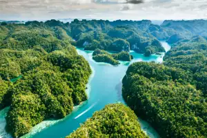 Karst full of forest in Raja Ampat