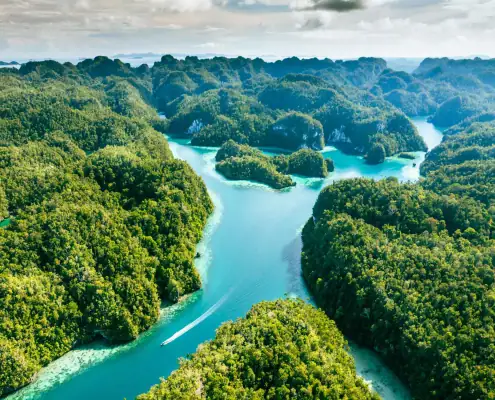 Karst full of forest in Raja Ampat