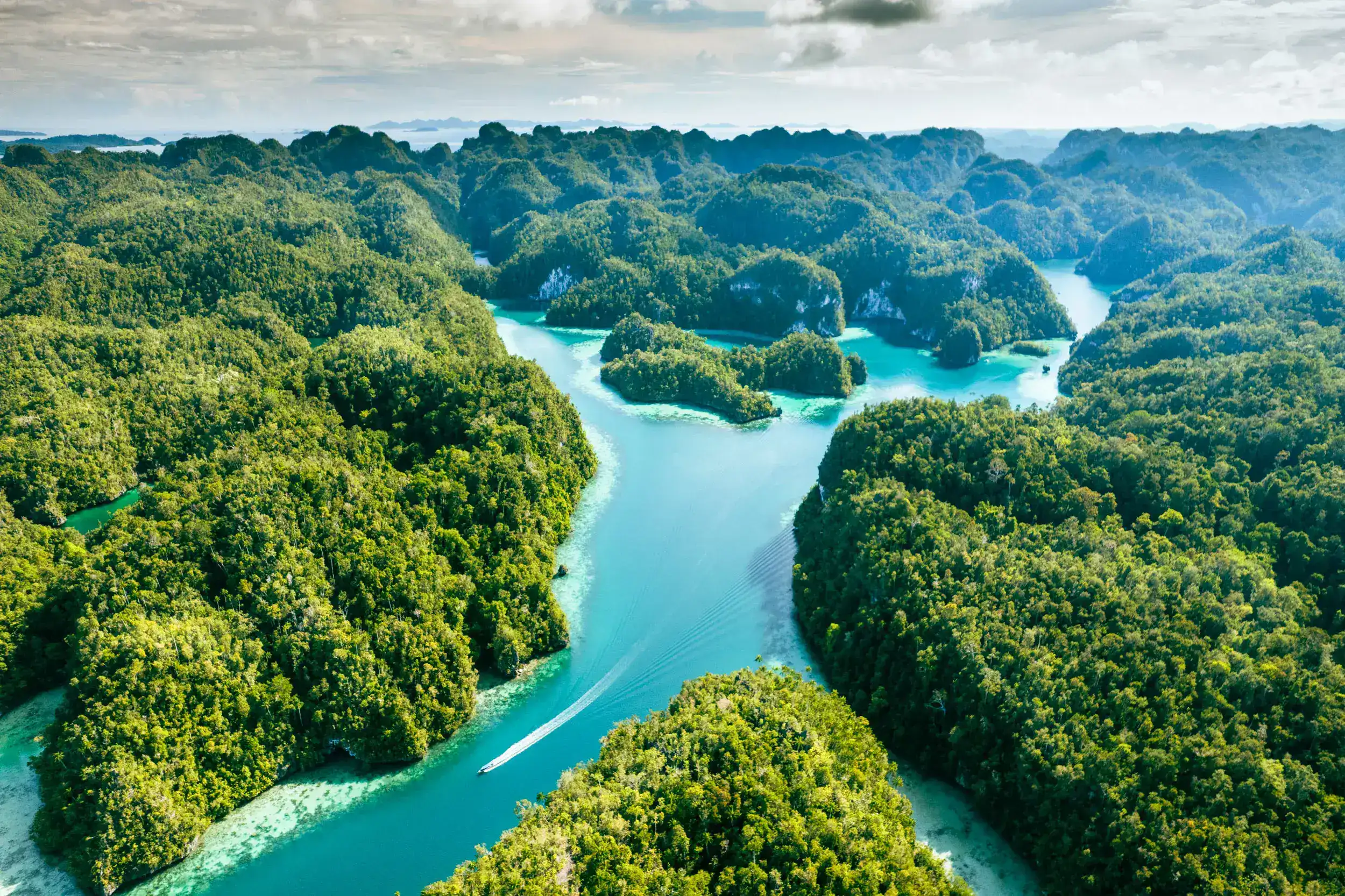 Karst full of forest in Raja Ampat