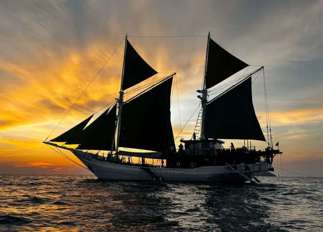 Katharina sails up with a sunset background