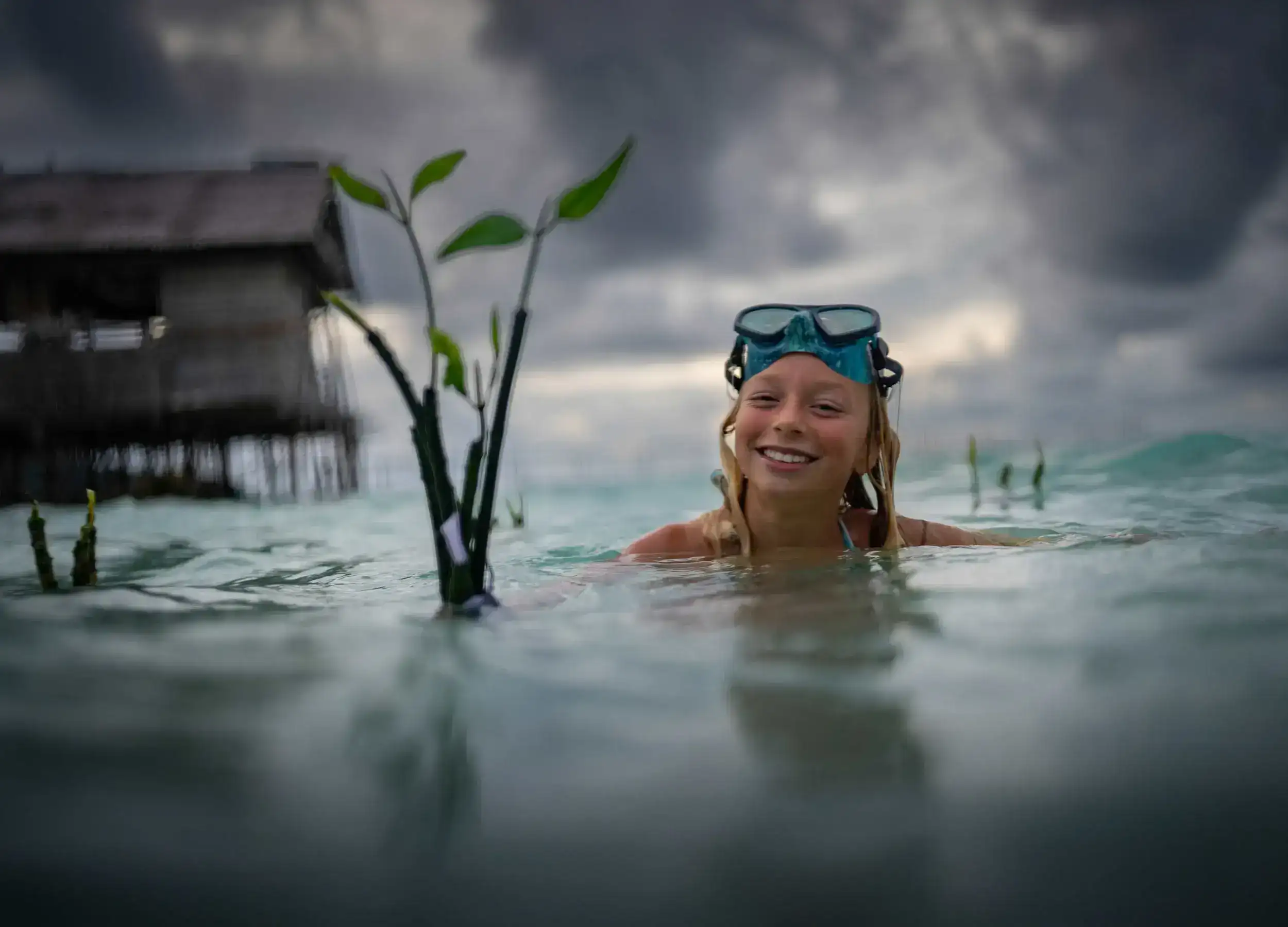 Planting Mangrove in West Papua.