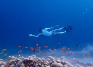 Snorkeling around Coral Spawning