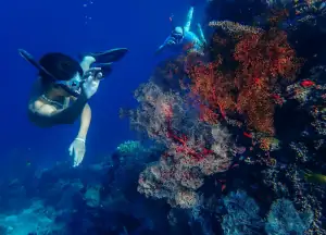 Snorkeling around Komodo Island