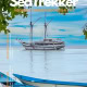 SeaTrekker Magazine Cover April 2025 Edition