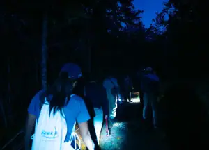 Early morning trekking for birdwatching
