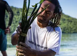 Konstantinus, the mangrove local hero in Marandanweser