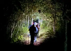 Pre dawn trekking for birds of paradise