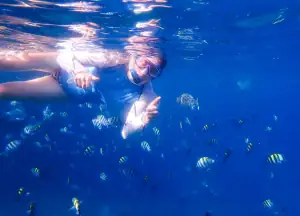 Snorkeling with school of fish in Yenbuba