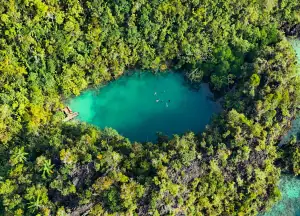 Stingless Jellyfish Lake in Raja Ampat