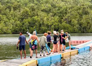 Jellyfish Lake in Bokan