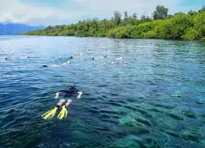 Snorkeling in Belang-Belang Island