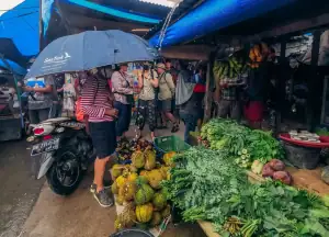 Visiting local market in Banggai