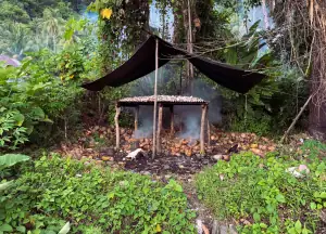 Copra Processing