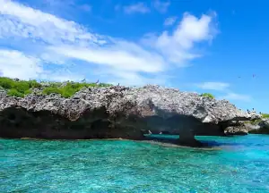 Kakabia Island of Bird