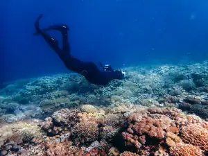 Snorkeling at Punten Island