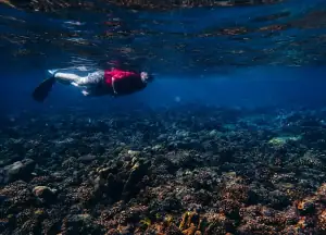 Snorkeling at Tanjung Keramat