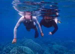 Snorkeling in Banda