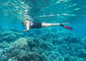 Snorkeling in Belang-Belang Island