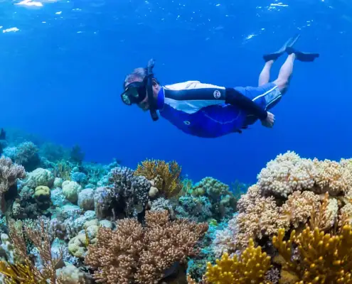 Snorkeling in Wakatobi
