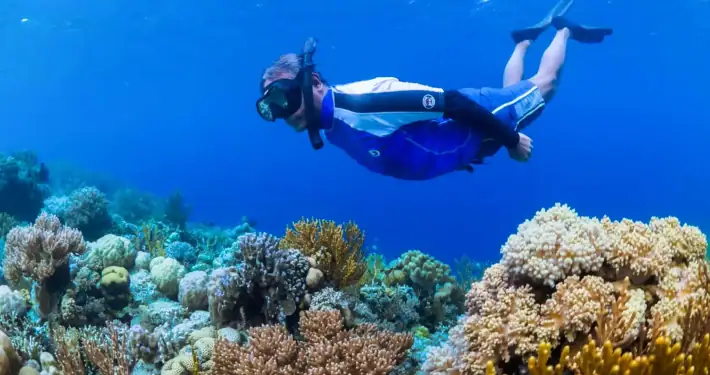Snorkeling in Wakatobi