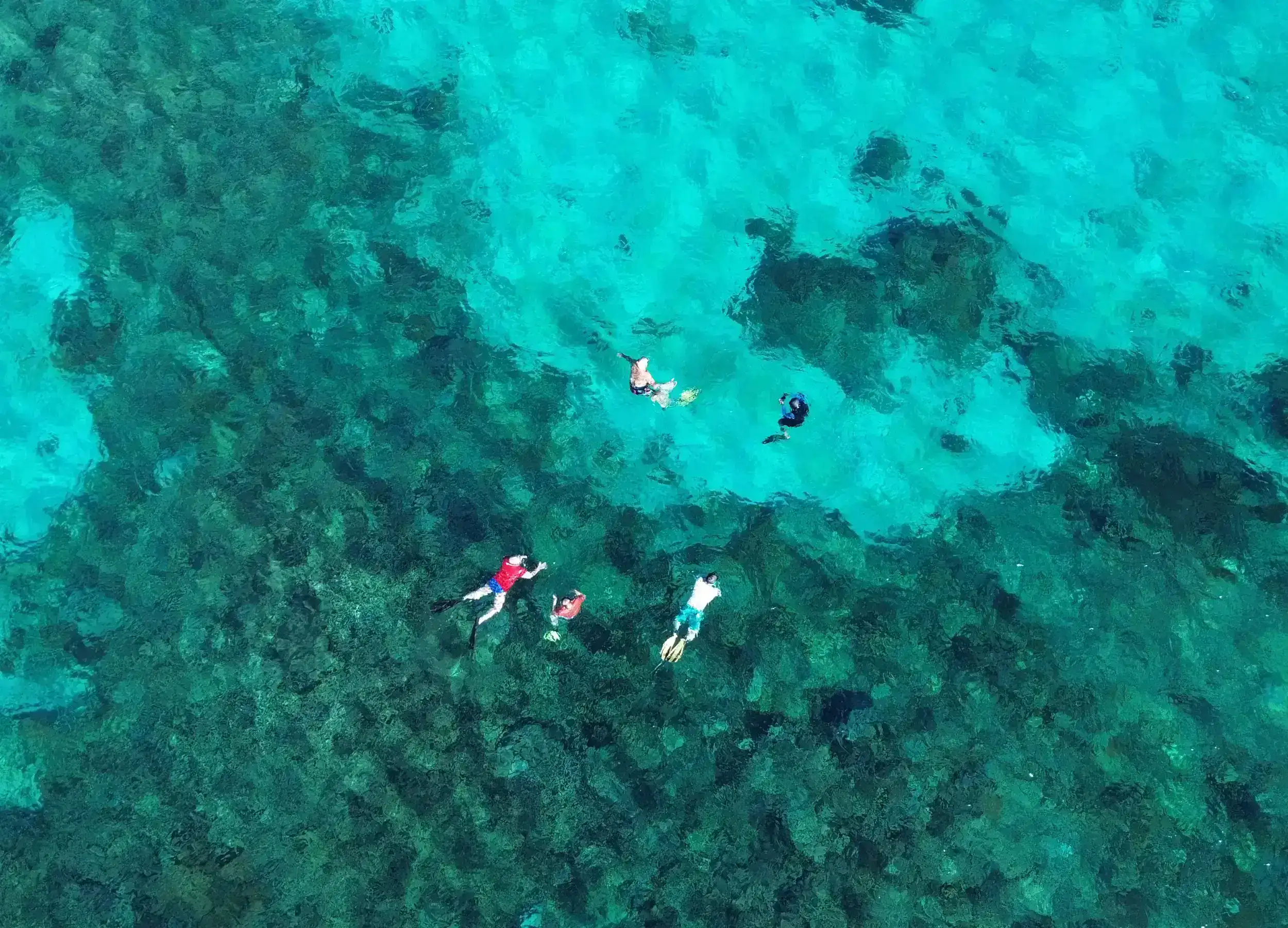 Snorkeling in Gili Banta