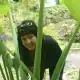 Anita - Cultural Anthropologist